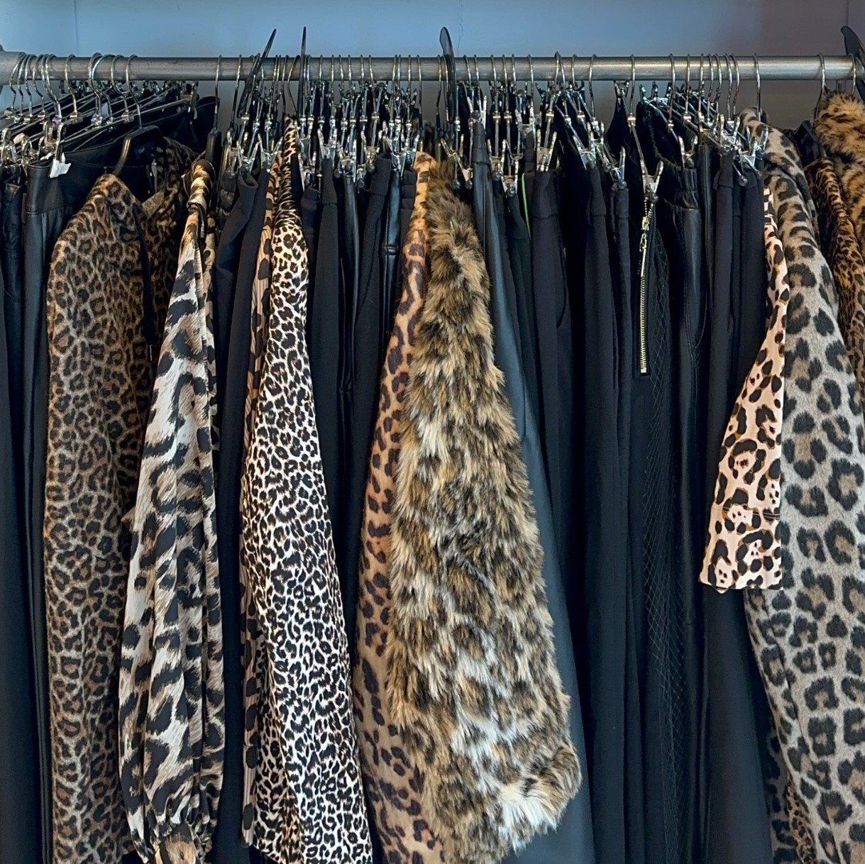 Schermafbeelding 2025-01-16 103847